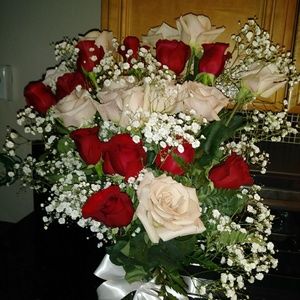 Meet your Posher, Graciela